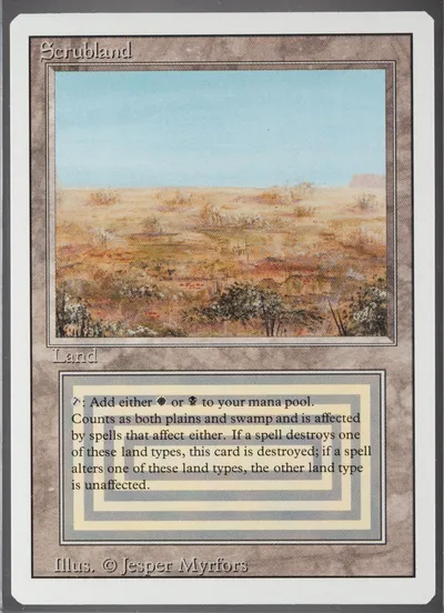 Scrubland — 1