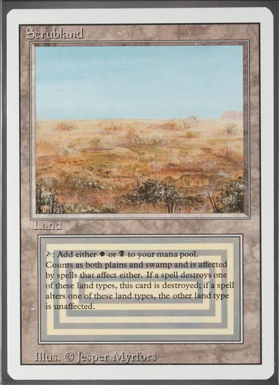 Scrubland — 2