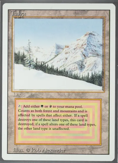 Taiga — 4