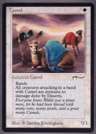 Camel