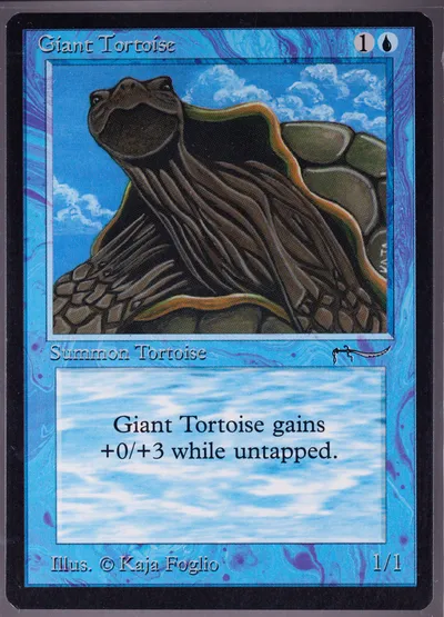 Giant Tortoise (a)