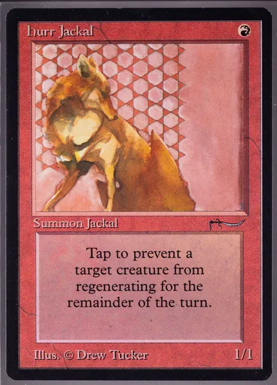 Hurr Jackal