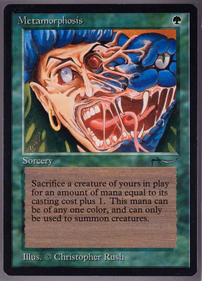 Metamorphosis