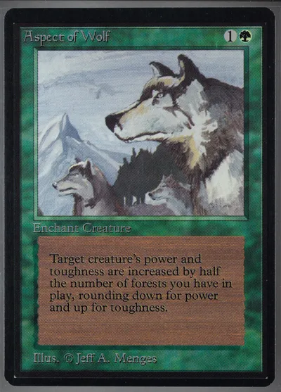 Aspect Of Wolf