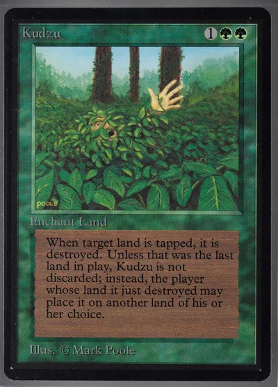 Kudzu