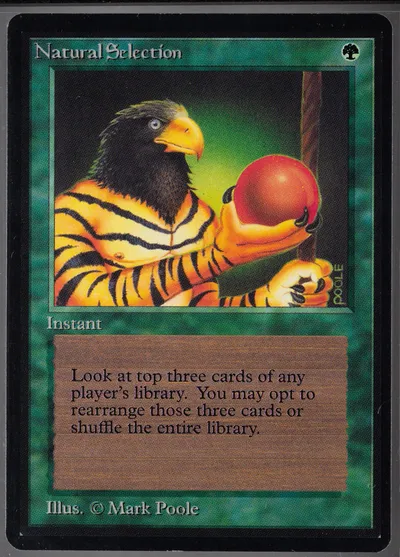 Natural Selection