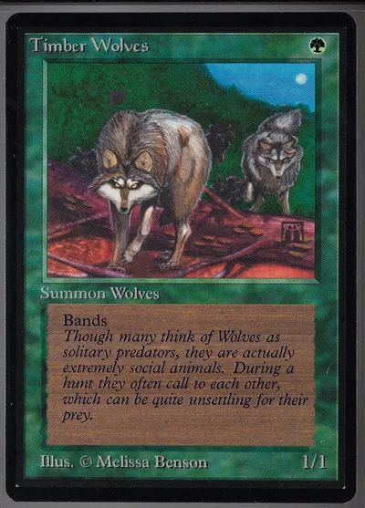 Timber Wolves