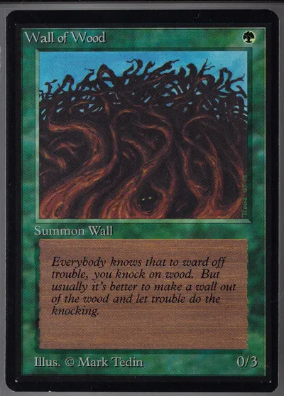 Wall Of Wood