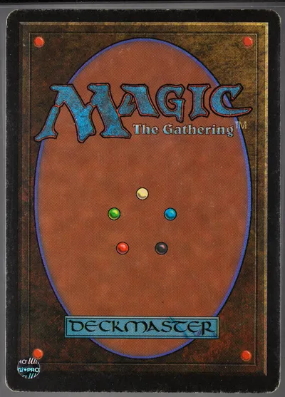 beta 263 mox jet verso