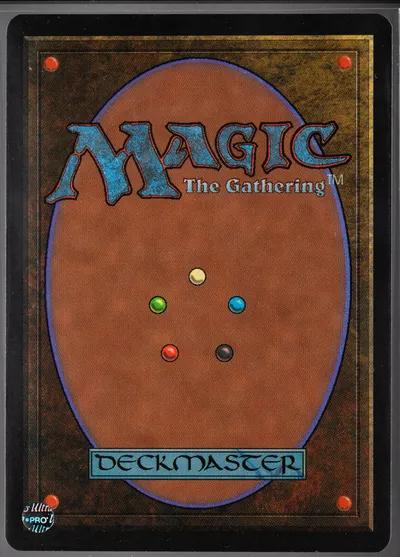 beta 264 mox pearl verso