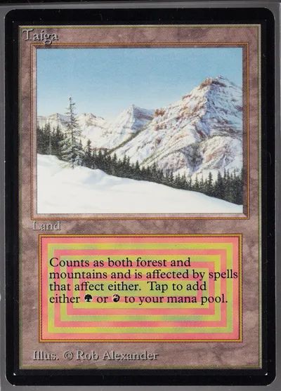 Taiga