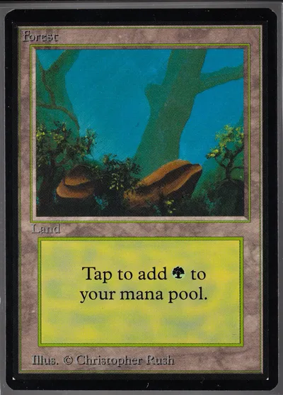 Forest A
