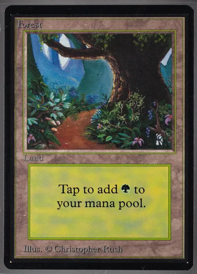 Forest B