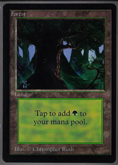 Forest C