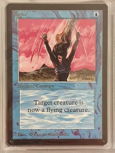 Flight