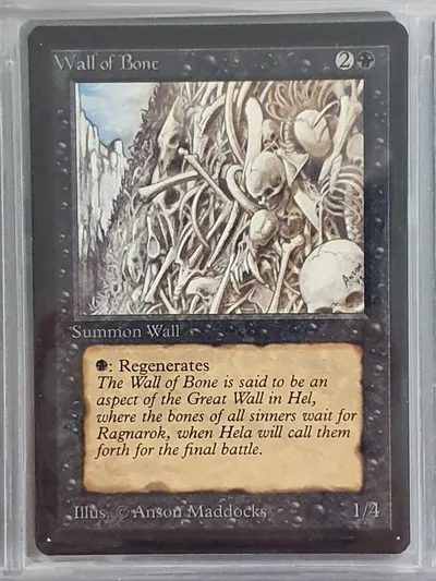 Wallofbone