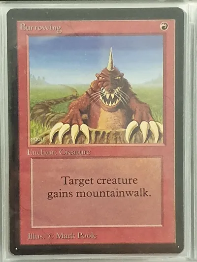 Burrowing