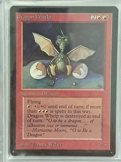Dragonwhelp