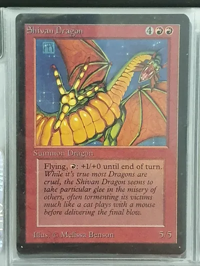 Shivandragon