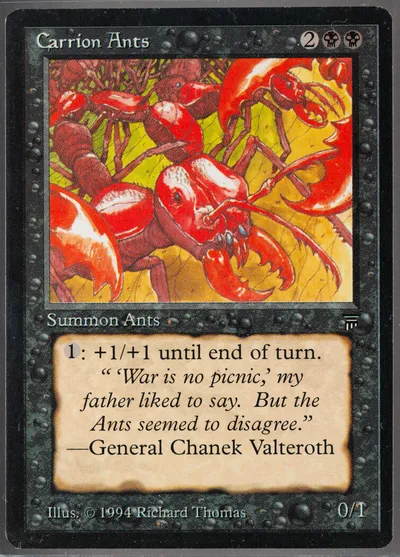 Carrion Ants