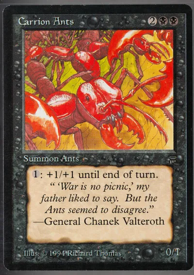 Carrion Ants