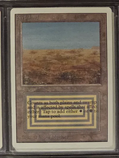 Scrubland